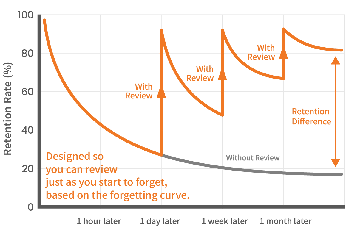Designed so you can review just as you start to forget, based on the forgetting curve.