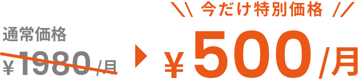 通常価格1980円のところを今だけ500円
